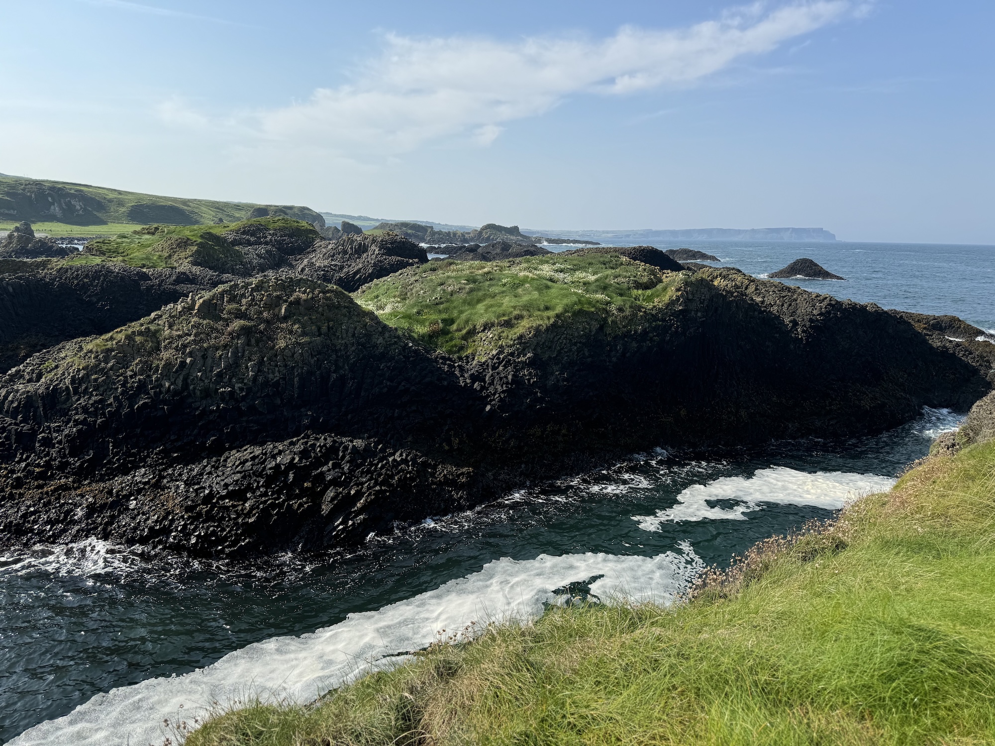 A scenic Ontario trail winding through the forest
